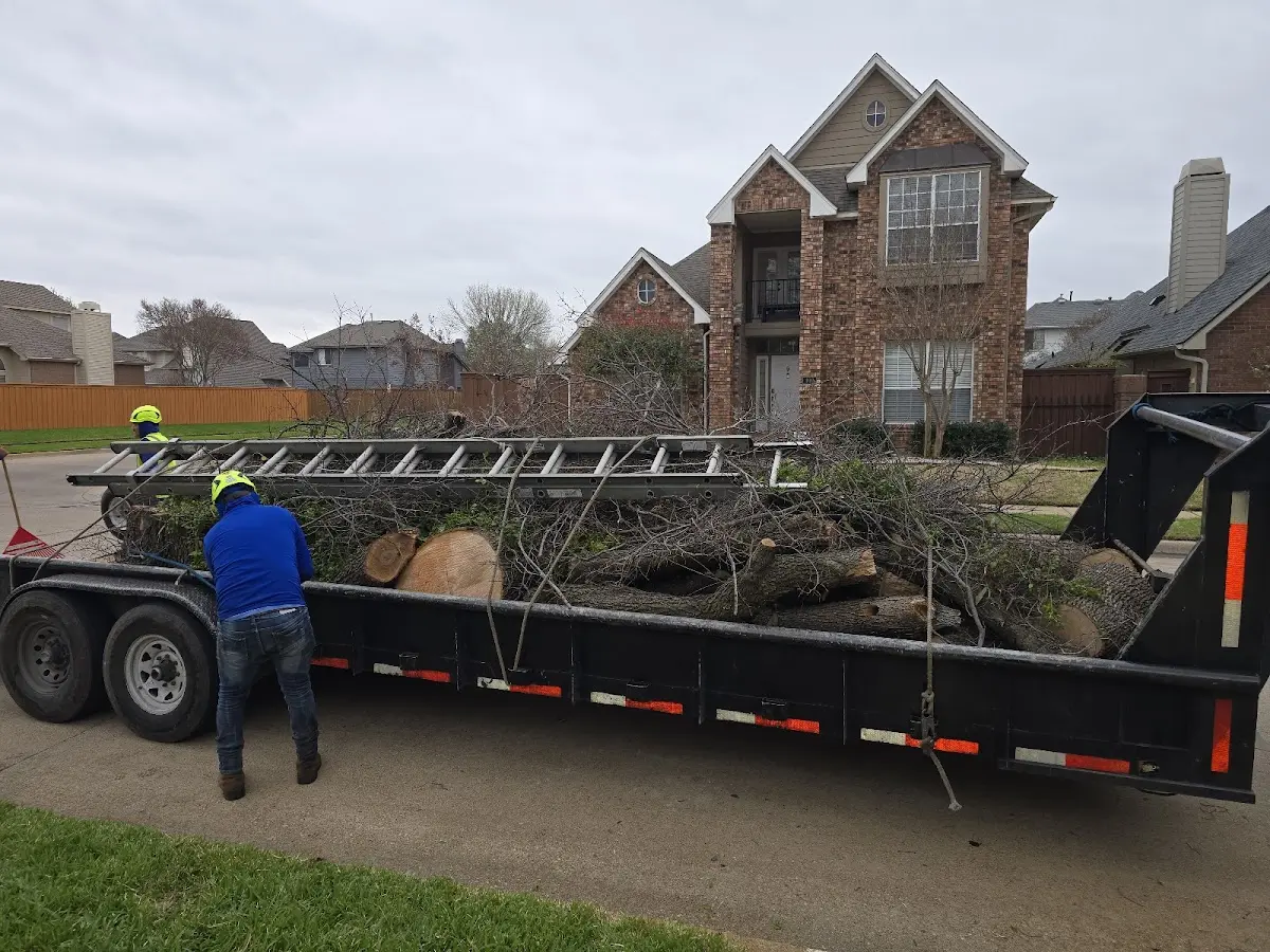 Expert Tree Removal with proper safety equipment in Chesterton